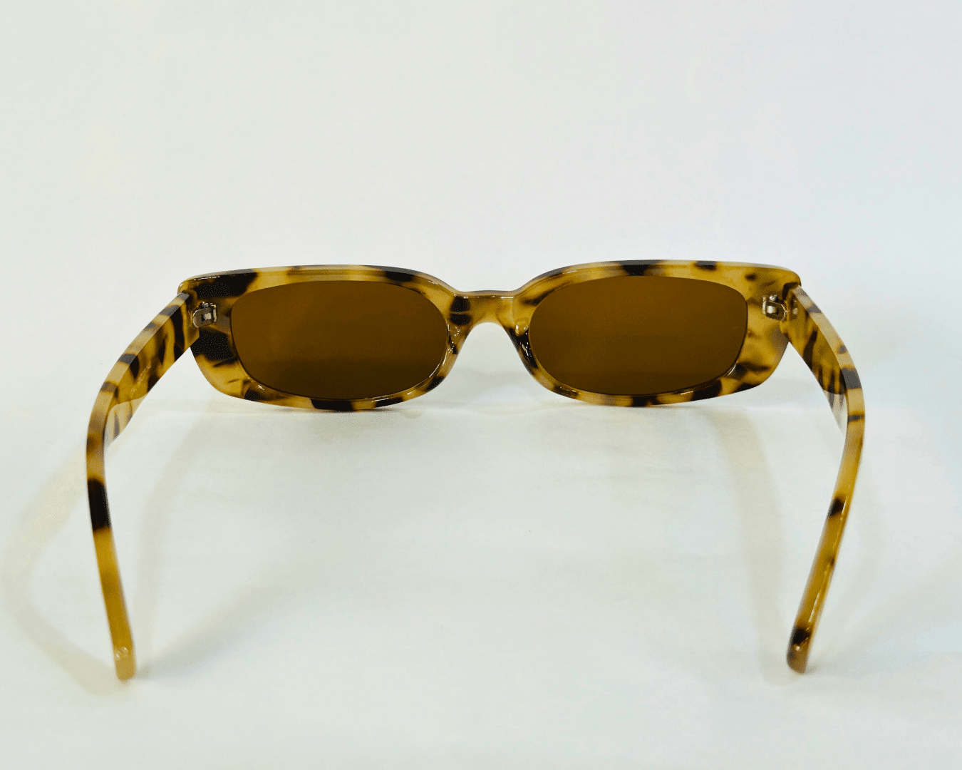 The Coolness Wild x Brown