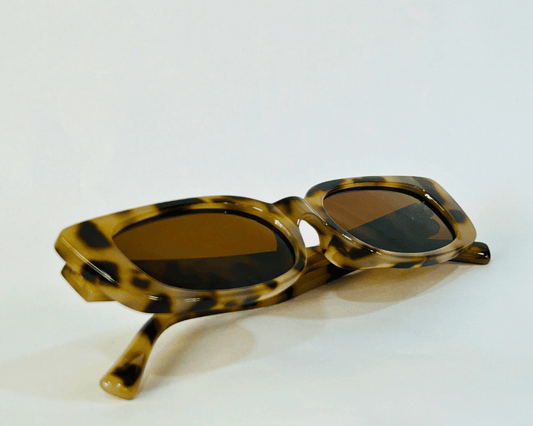 The  Coolness Wild x Brown